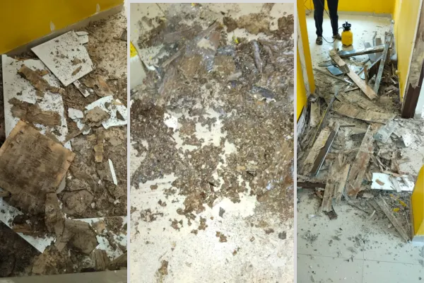 Damaged Furniture Due to Termite infestation